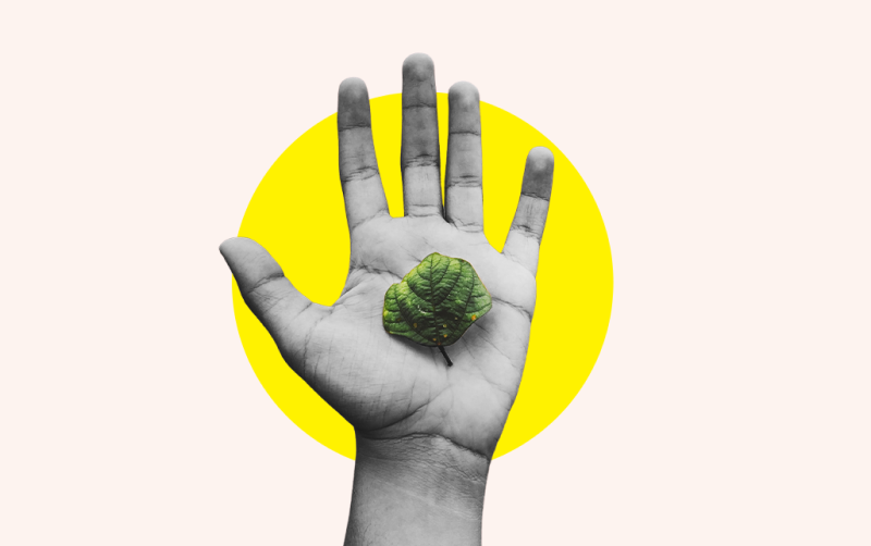 Designing for Holistic Health Care article